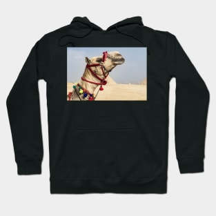 Camel at the Pyramids Hoodie